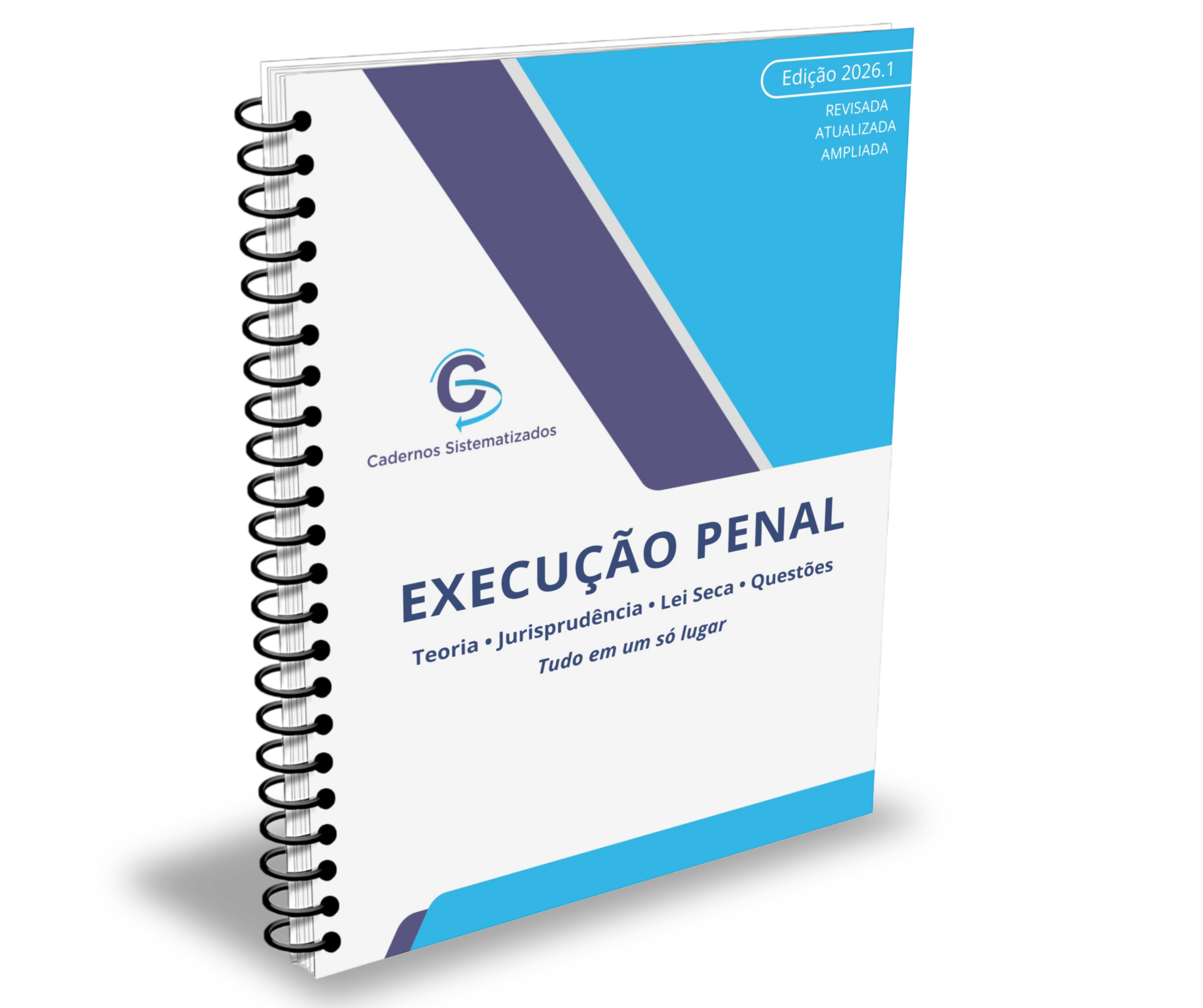 EXECUÇÃPENAL Caderno Sistematizado de Execução Penal - Cadernos Sistematizados em PDF