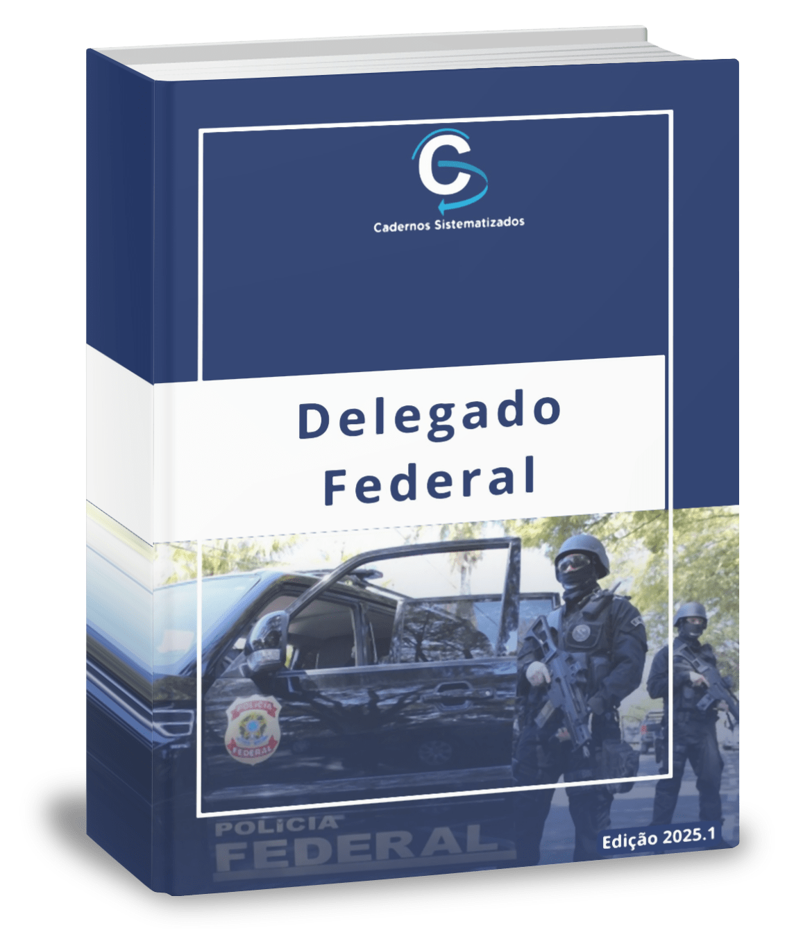 IMAGEM MERAMENTE ILUSTRATIVA Delegado Federal